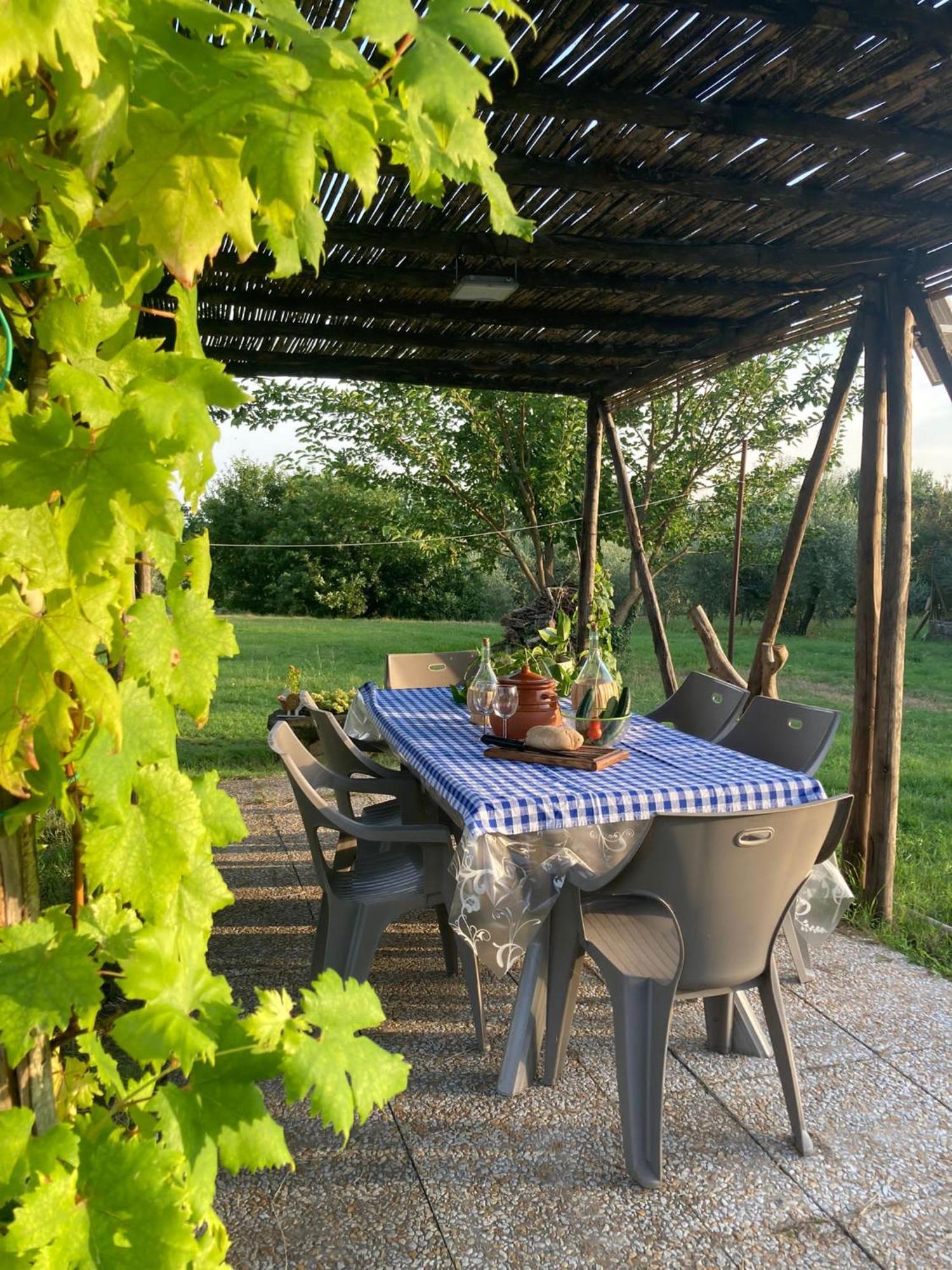 La Casa Nell'Aia Bed and Breakfast Monsummano Terme Exteriör bild